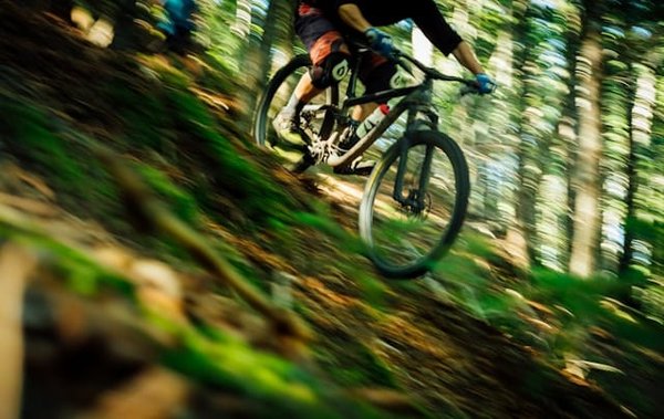 What's the Impact of Altitude Variation on Training Load for Mountain Bikers?